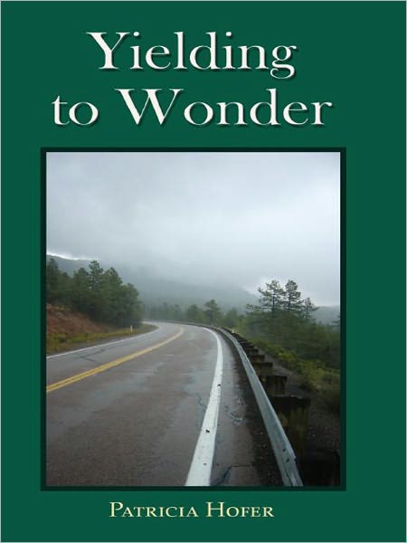 Yielding to Wonder
