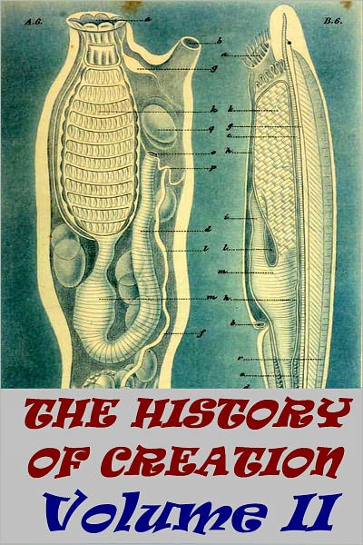 The History of Creation Or the Development of the Earth and its Inhabitants by the Action of Natural Causes, Volume 2 (Illustrated version)