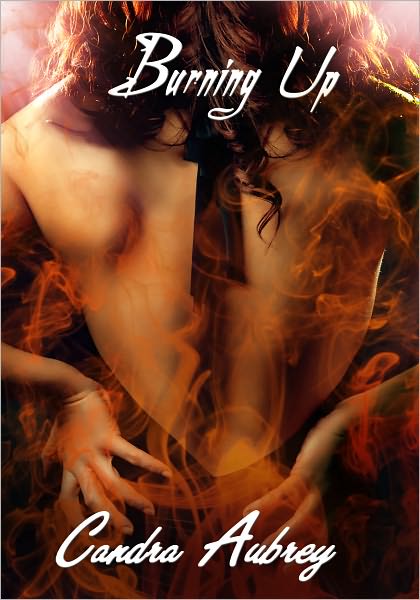 Paranormal Erotica: Burning Up