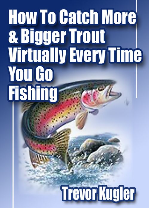 How To Catch More Trout Virtually Everytime You Go Fishing