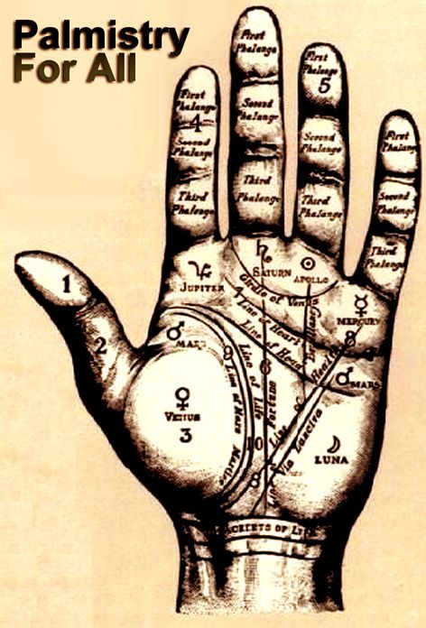 PALMISTRY FOR ALL