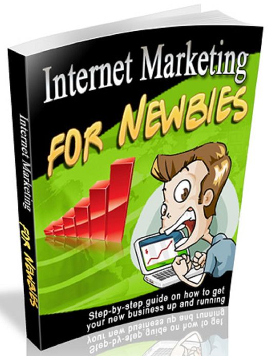 Internet Marketing For Newbies: Step By Step Guide On How To Get Your New Business Up And Running