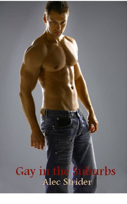 Gay in the Suburbs #1: Danny and the Gardener (gay erotica)