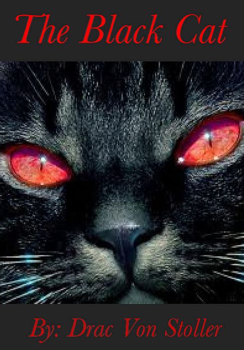 The Black Cat
