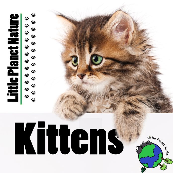 Little Planet Nature: Kittens