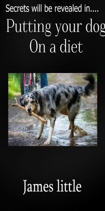 Putting your dog on a diet