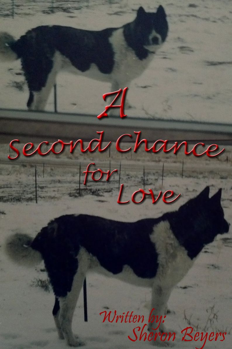 Second Chance For Love