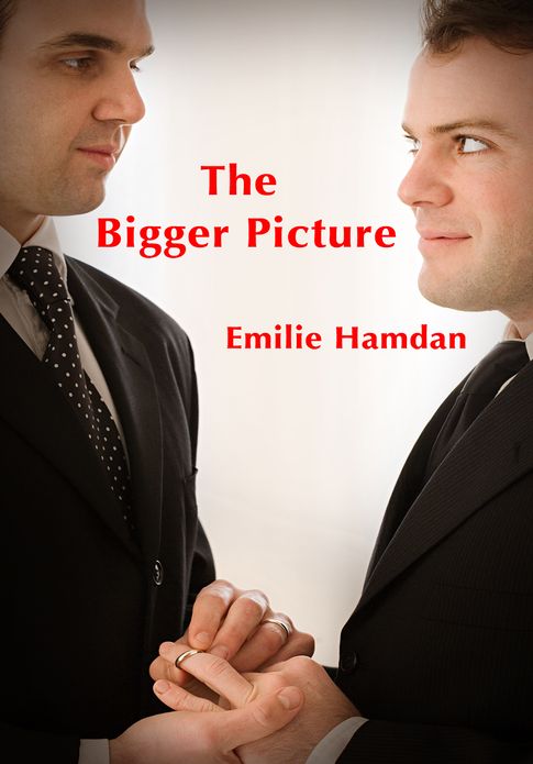 Gay Erotica: The Bigger Picture