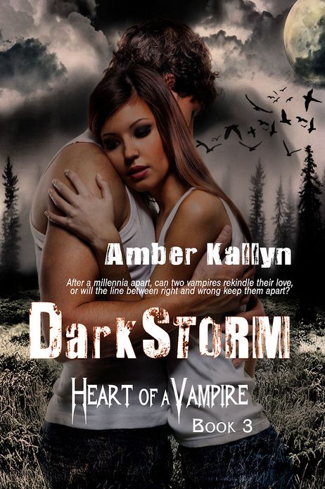 Darkstorm (Heart of a Vampire, Book 3)