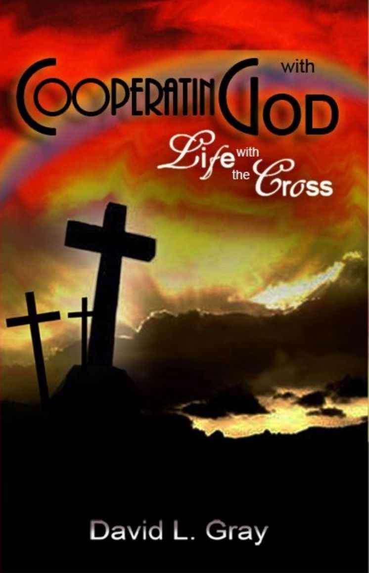 Cooperating with God: Life with the Cross - Second Edition