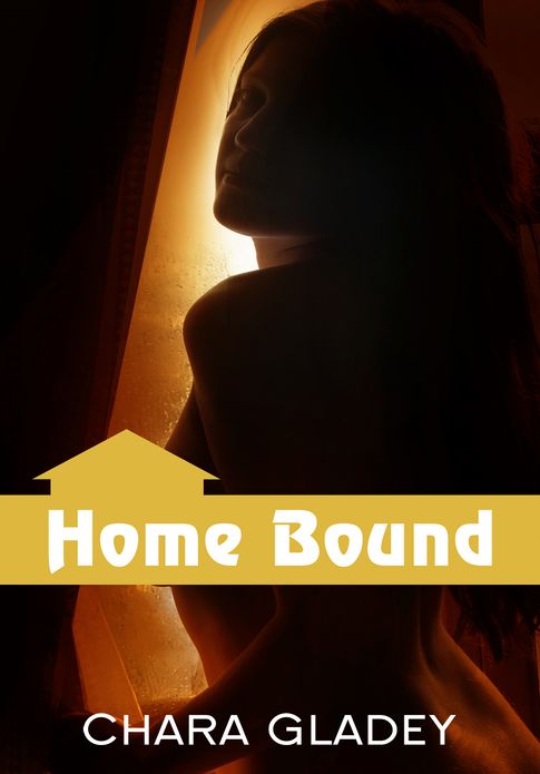 Fantasy Erotica: Home Bound