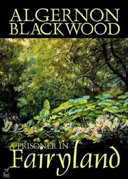 A Prisoner in Fairyland: A Horror, Fantasy Classic By Algernon Blackwood! AAA+++