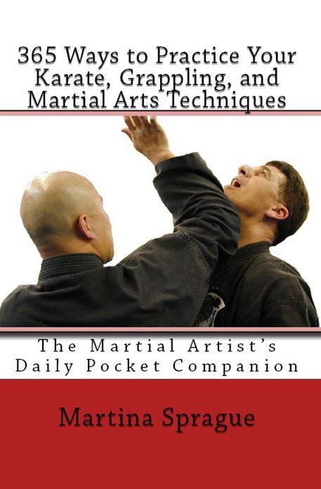 365 Ways to Practice Your Karate, Grappling, and Martial Arts Techniques