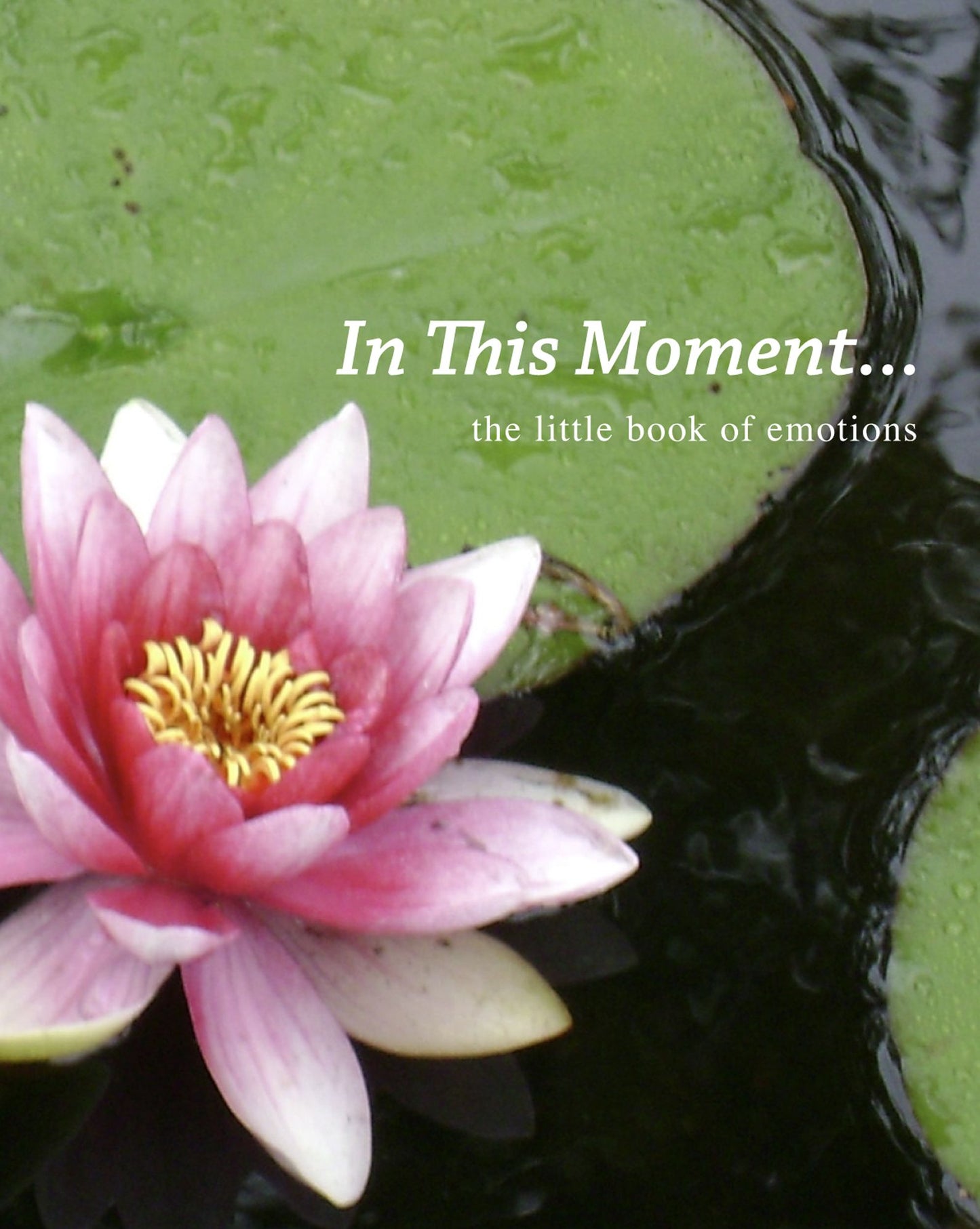 In This Moment...the little book of emotions
