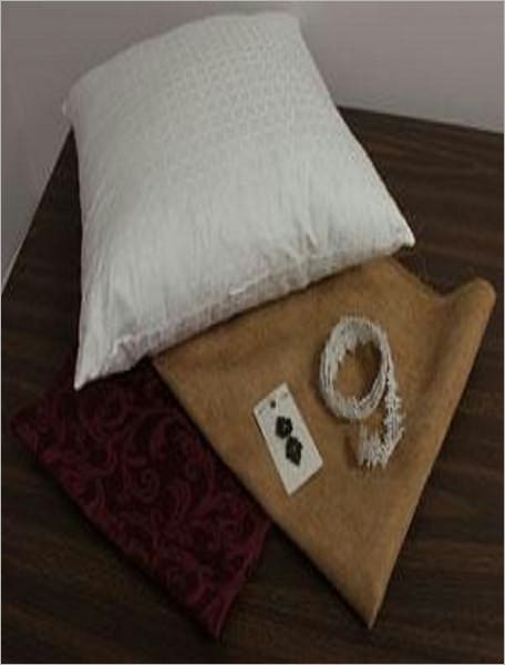 Envelope Pillow learn how to make an elegant envelope pillow!