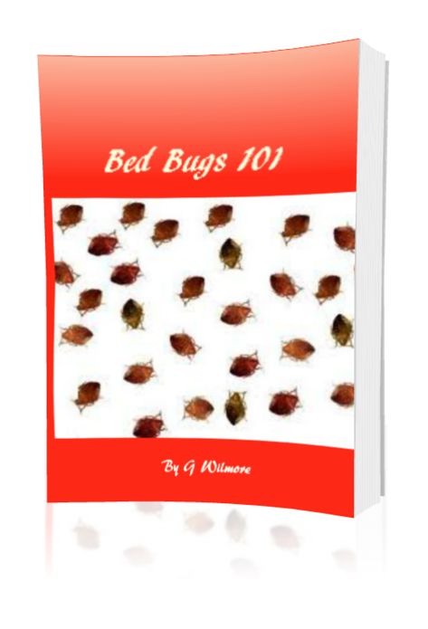 Bed Bugs 101
