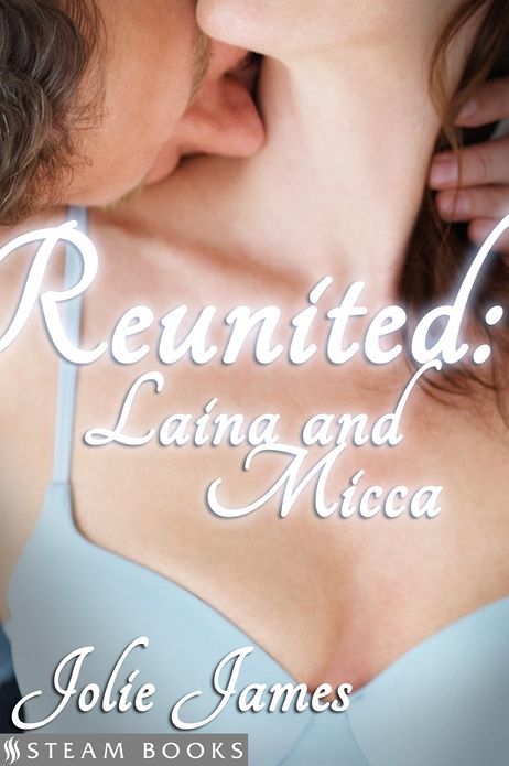Reunited: Lain and Micca - An Erotic Romance from Steam Books