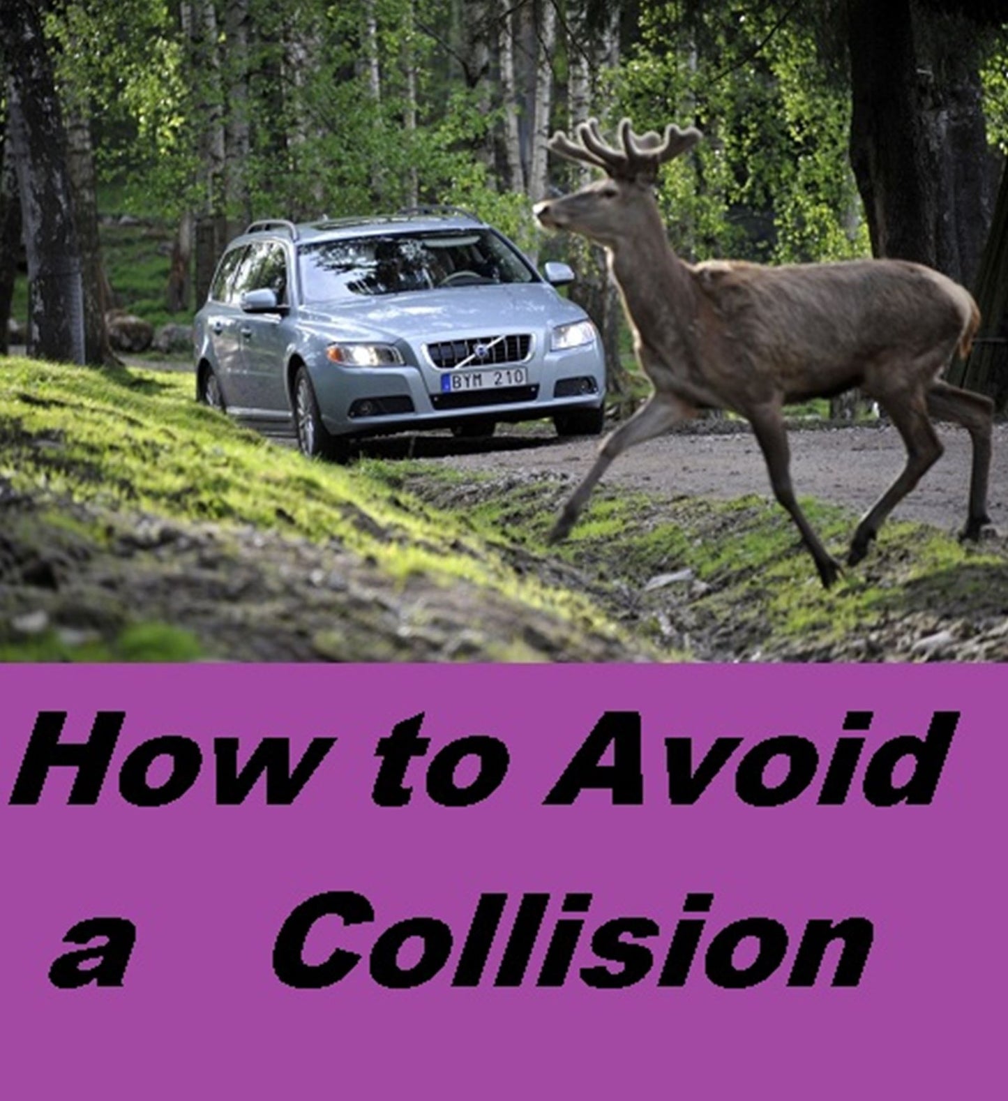 Fantasy Fiction: How to Avoid a Collision ( collision, jolt, friction, impact, competition, renounce, Eschew, avoid, forgo, relinquish )