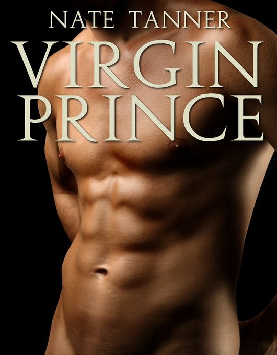 Virgin Prince: A Gay Bondage Fantasy