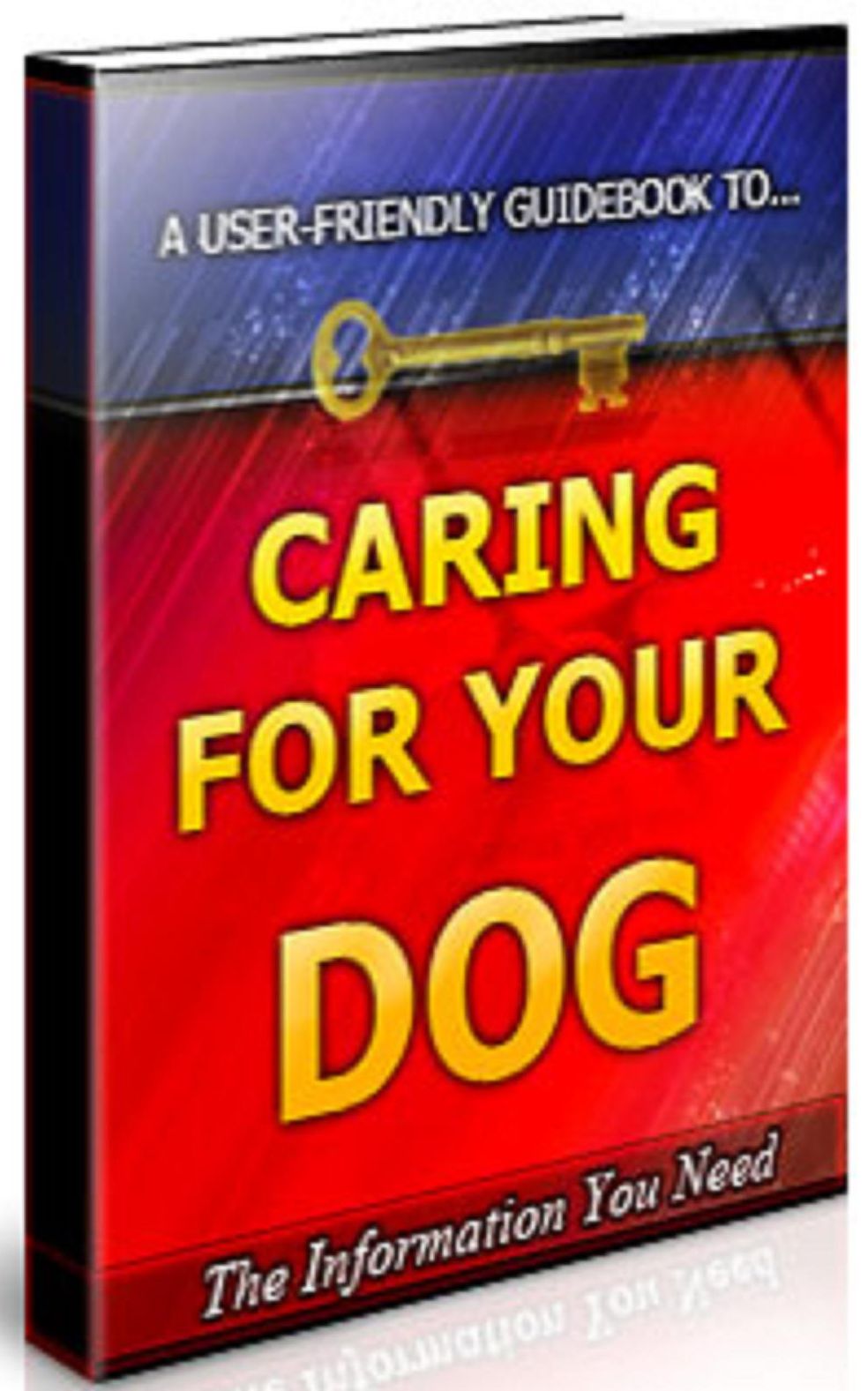 Caring For Your Dog