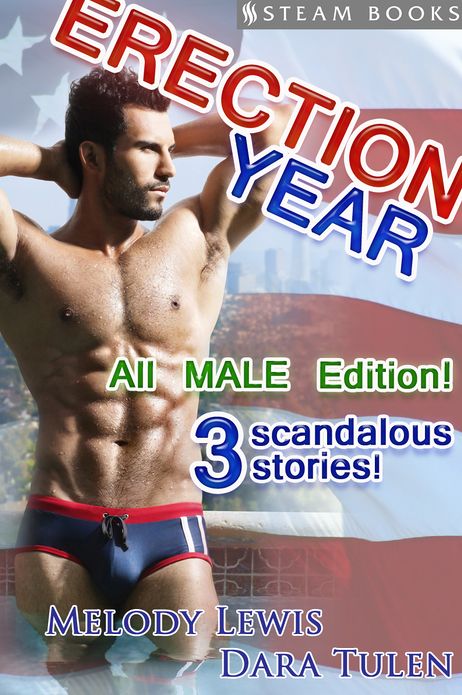 Erection Year All MALE Edition - A Sexy Compilation of 3 M/M Gay Erotic American Election-Themed Stories Featuring the President and Secret Service