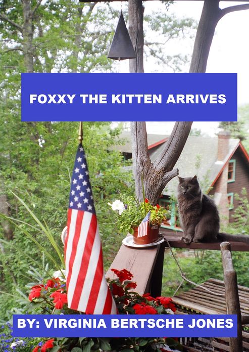 Foxxy the Kitten Arrives