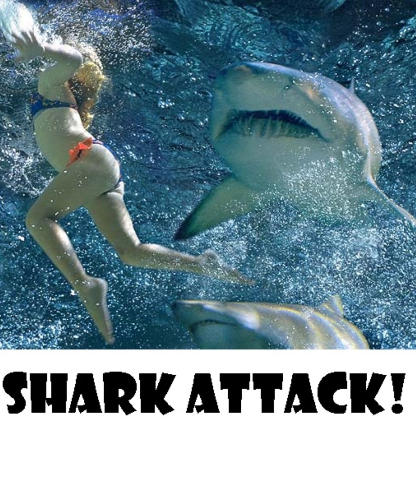 Nature: Shark Attack! ( nature, behaviour, behavior, habit, temperament, mould, nature, world, behavior, conduct, nature, custom, behaviour )