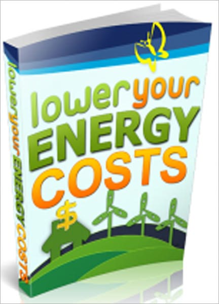 Lower Energy Costs