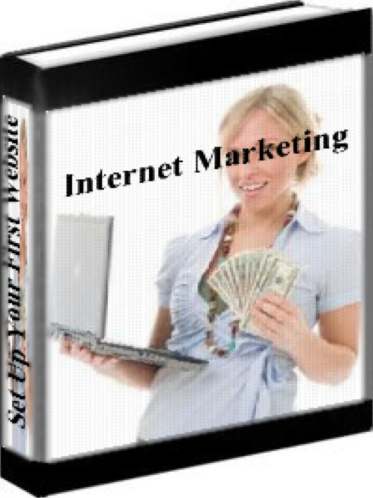 Internet Marketing - How To Set Up Your First Money Making Website