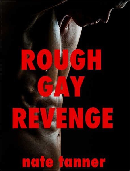 Rough Gay Revenge