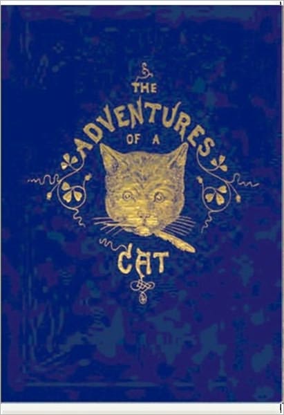 The Adventures of a Cat