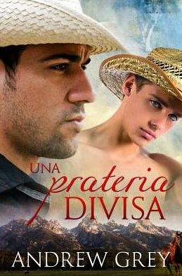 Una prateria divisa