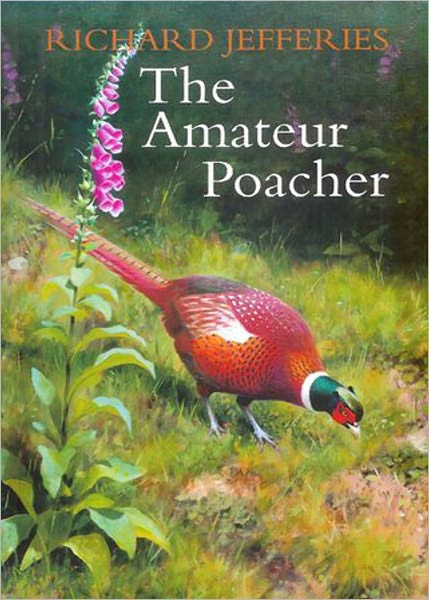 The Amateur Poacher: A Nature Classic By Richard Jefferies! AAA+++