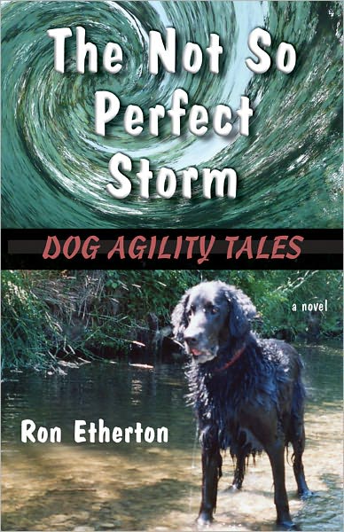 The Not So Perfect Storm: Dog Agility Tales