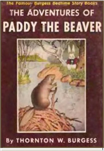 The Adventures of Paddy The Beaver