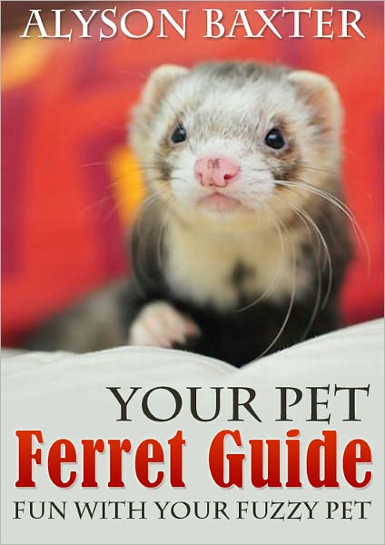 Your Ferret Guide : Fun with Your Fuzzy Pet