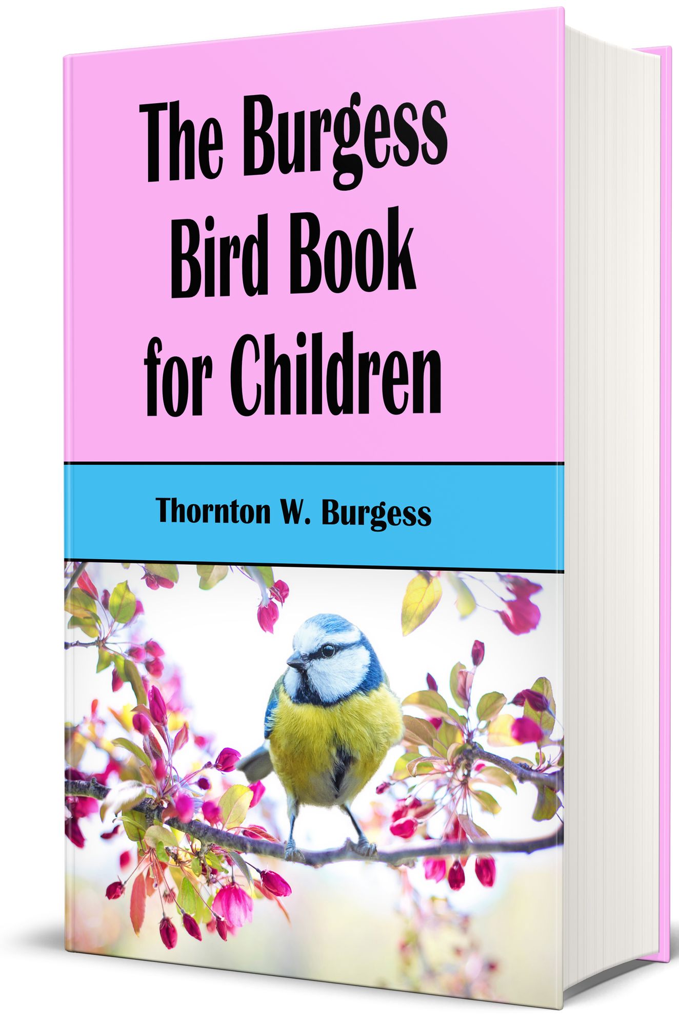 The Burgess Bird Book For Children (Illustrated, Indexed)