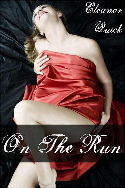 On The Run (Gangbang Erotica)