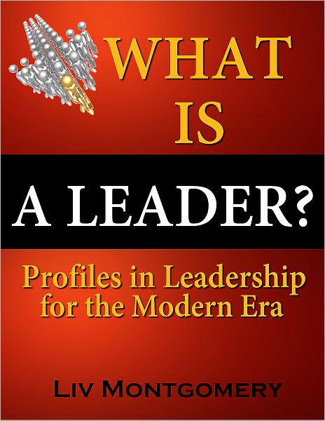 What is a Leader?:Profiles In Leadership for the Modern Era