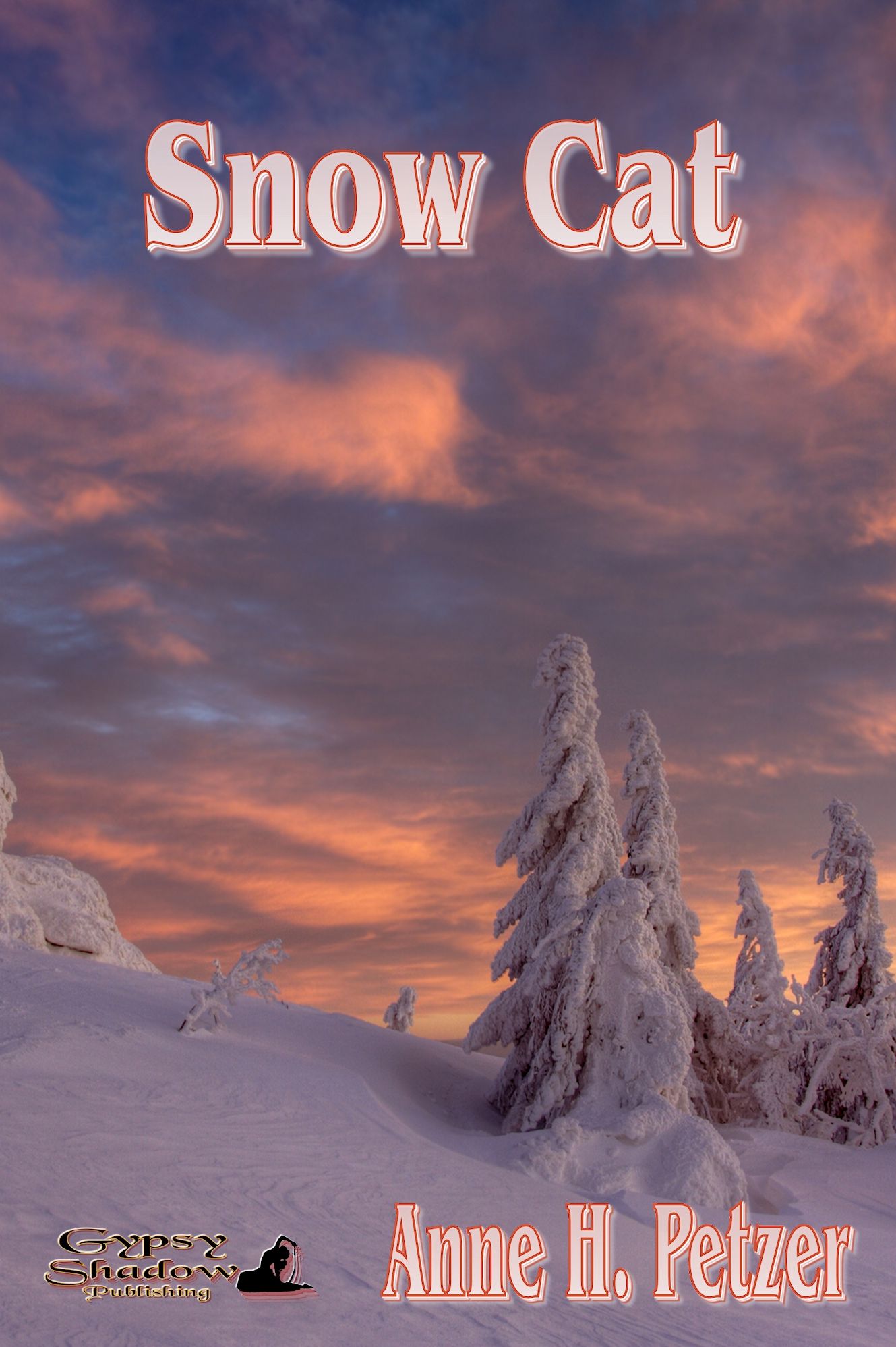 Snow Cat
