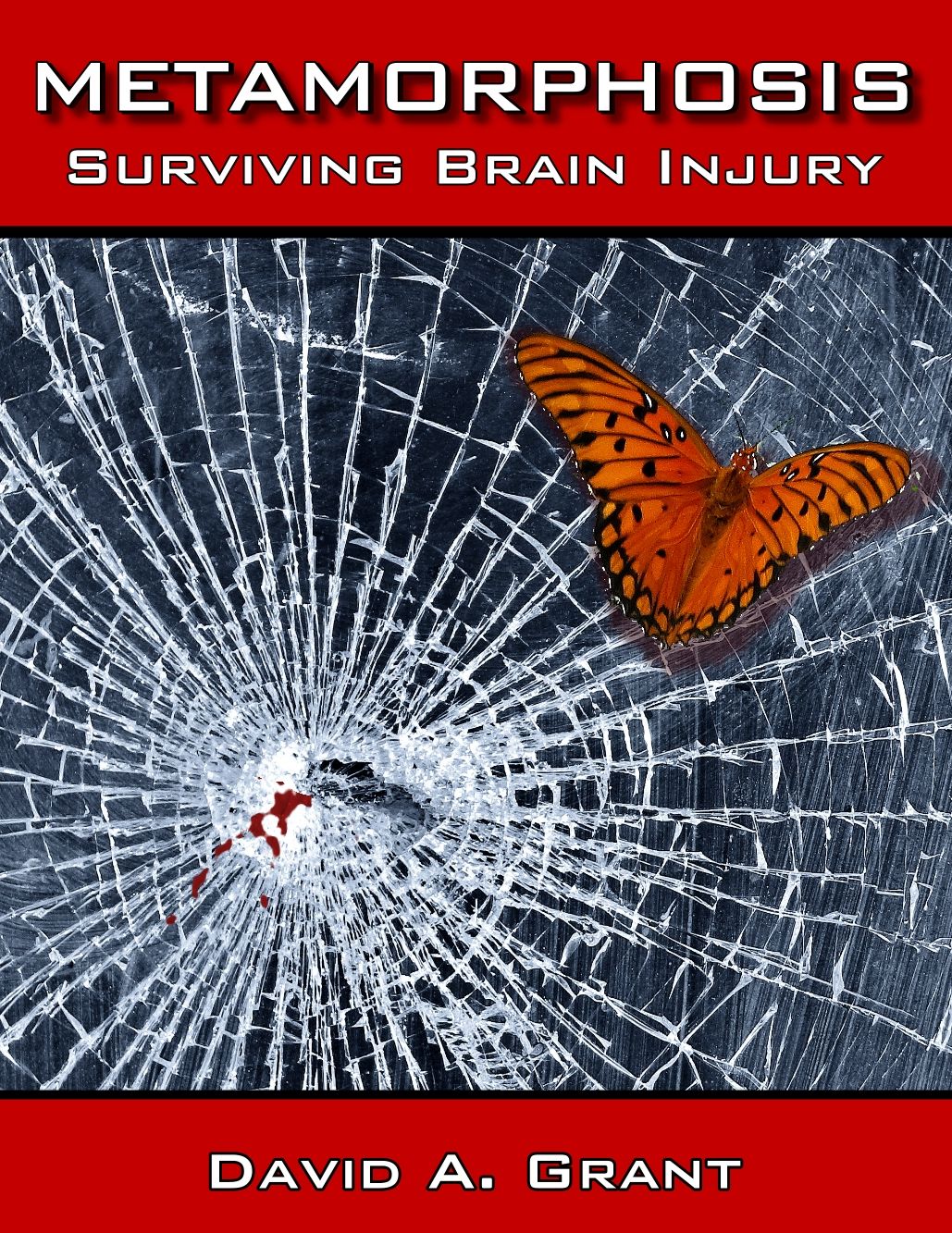 Metamorphosis, Surviving Brain Injury