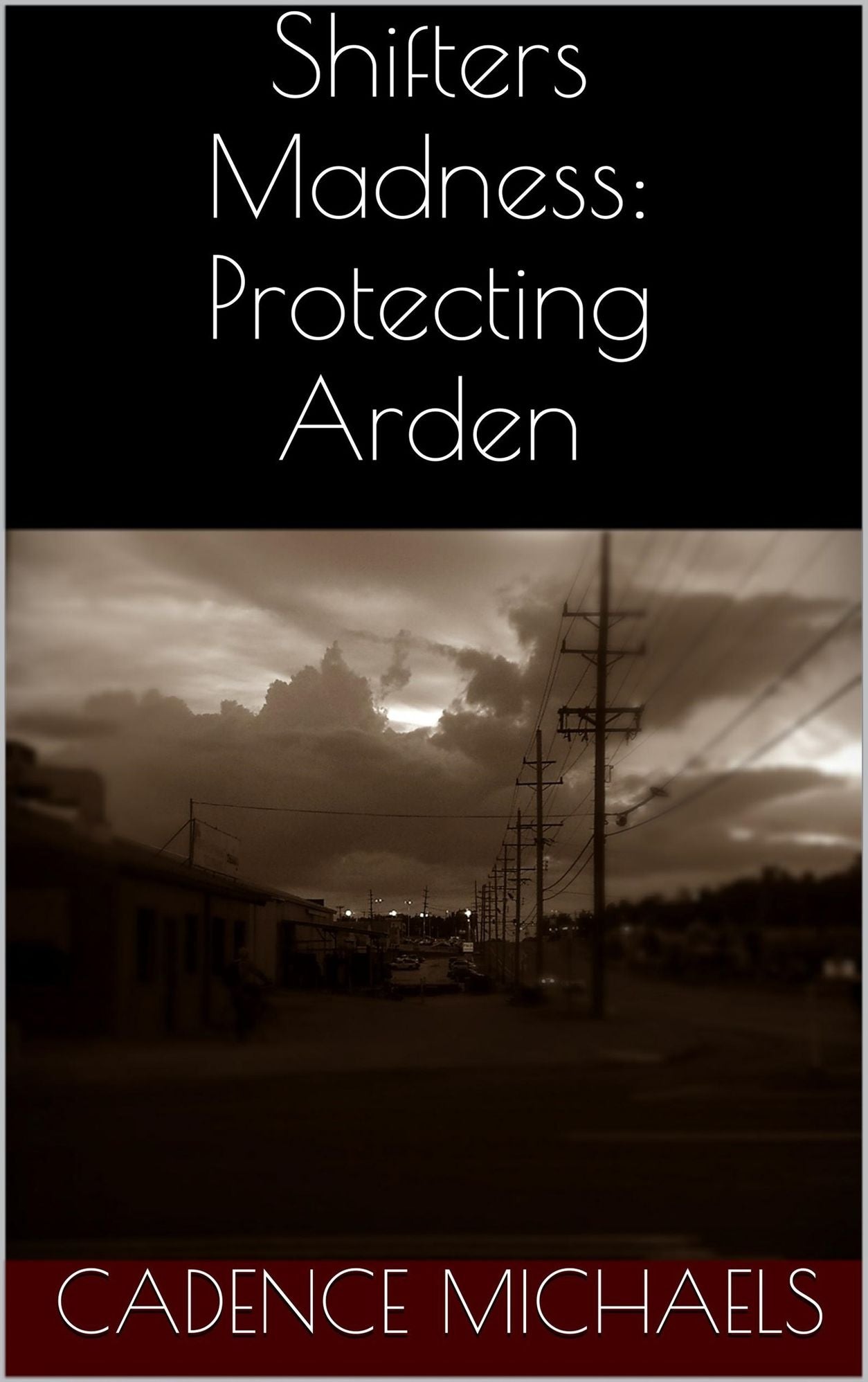 Shifters Madness: Protecting Arden