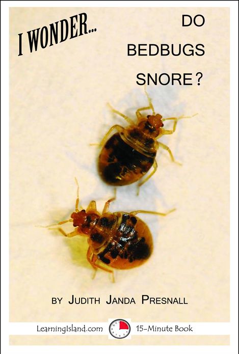 I Wonder... Do Bedbugs Snore?