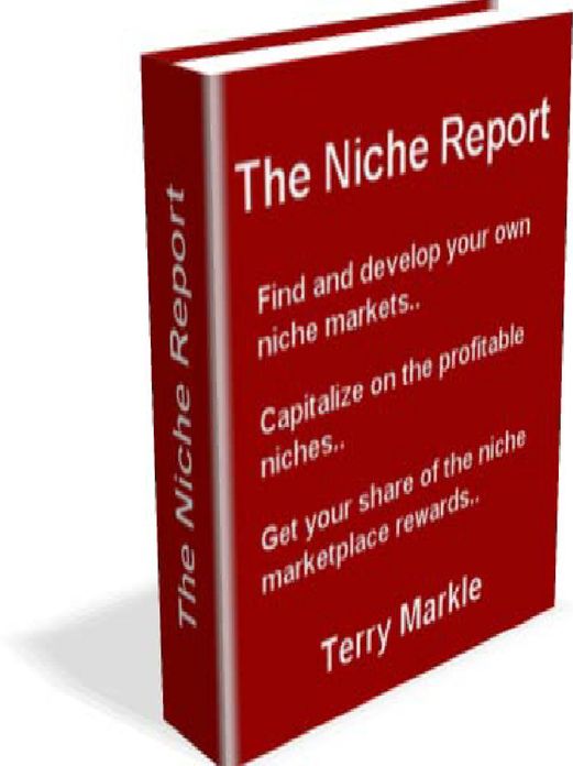 The Niche Report