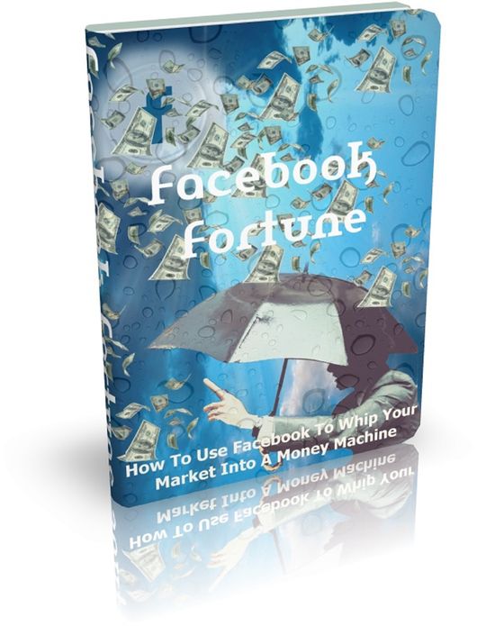 Facebook Fortune