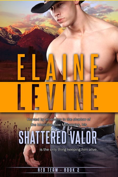 Shattered Valor