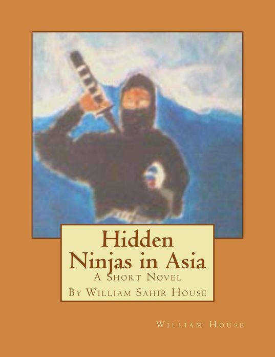 Hidden Ninjas in Asia