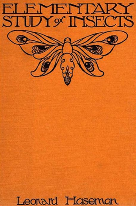 An Elementary Study Of Insects