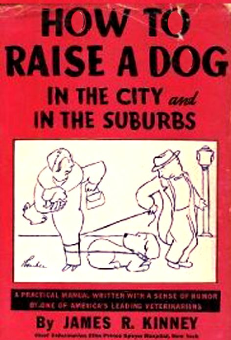 How To Raise a Dog