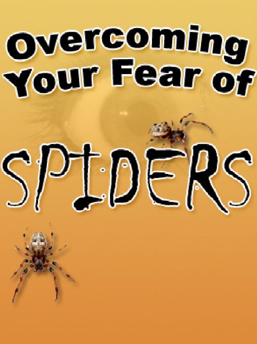 Overcoming Your Fear of Spiders